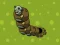 لعبة Zombie Worms على الانترنت