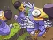 لعبة Save The Dodos على الانترنت