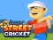 لعبة Street Cricket على الانترنت