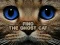 لعبة Find the Ghost Cat على الانترنت