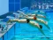 لعبة Swimming Pool Race على الانترنت