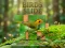 لعبة Birds Slide على الانترنت