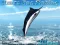 لعبة Azure Sea Fishing على الانترنت