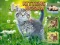 لعبة Kittens Jigsaw على الانترنت