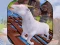 لعبة Angry Goat Wild Animal Rampage على الانترنت