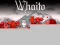 لعبة Whaito على الانترنت