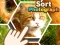 لعبة Sort Photograph على الانترنت