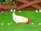 لعبة Stupid Chicken على الانترنت