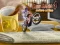 لعبة Bike Mania 4 Micro Office على الانترنت