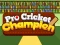 لعبة Pro Cricket Champion على الانترنت