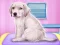 لعبة Labrador at the doctor salon على الانترنت