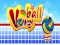 لعبة Volley Ball على الانترنت