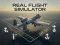 لعبة Real Flight Simulator على الانترنت