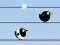 لعبة Gone with the Birds على الانترنت