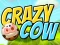 لعبة Crazy Cow على الانترنت