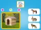 لعبة Who Lives Here على الانترنت