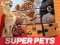 لعبة DC League of Super Pets Jigsaw Puzzle على الانترنت
