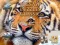 لعبة Jigsaw Puzzles Classic على الانترنت