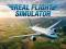 لعبة Real Flight Simulator على الانترنت