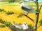 لعبة Birds Of Prey Puzzle على الانترنت