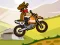 لعبة Hill Climb Moto على الانترنت