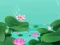 لعبة Lotus Flowers على الانترنت