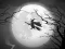 لعبة The Night Of the Witches Jigsaw على الانترنت