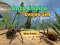 لعبة Ants Empire Evolve Sim على الانترنت