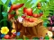 لعبة Hidden Objects Insects على الانترنت