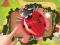 لعبة Bugs Bang على الانترنت