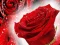 لعبة Red Roses على الانترنت