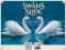 لعبة Swans Slide على الانترنت