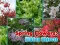 لعبة Spring Flowers: Hidden Objects على الانترنت