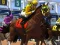 لعبة Horse Racing على الانترنت