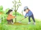 لعبة Arbor Day Puzzle على الانترنت