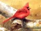 لعبة Art Birds Puzzle على الانترنت