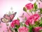 لعبة Butterflies Puzzle على الانترنت