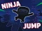 لعبة Ninja jump على الانترنت