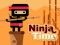 لعبة Ninja Time على الانترنت