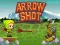 لعبة Arrow Shoot على الانترنت