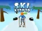 لعبة Ski Rush 3d على الانترنت