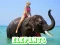 لعبة Elephants Puzzle على الانترنت