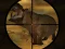 لعبة Classical Hippo Hunting على الانترنت