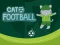لعبة Cat Football على الانترنت