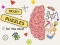 لعبة Brain Puzzles Quests على الانترنت