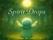 لعبة Spirit Drops على الانترنت
