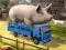 لعبة Driver Master Simulator على الانترنت