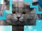 لعبة PicPu Cat على الانترنت