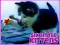 لعبة Six Little Kittens على الانترنت