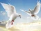 لعبة Flying Birds على الانترنت